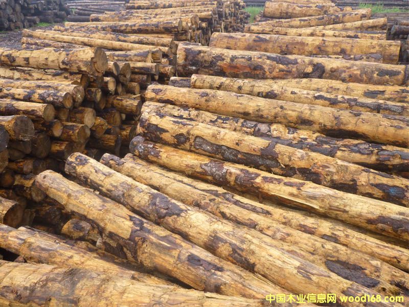 ��ɼ�����ô󣩵�Ԕ��(x��)��B