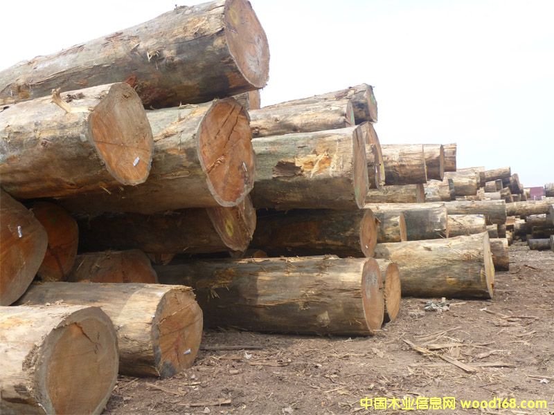 �����ɣ������ģ���Ԕ��(x��)��B