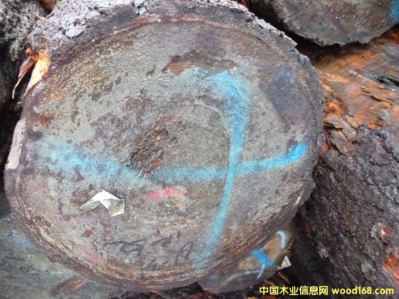 �����ɣ����ô󣩵�Ԕ��(x��)��B