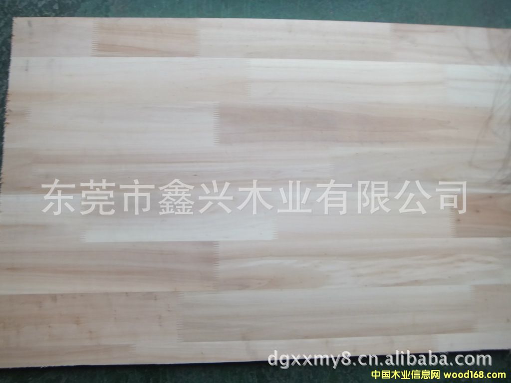 �c���鿴��ľָ�Ӱ�Ŵ�DƬ