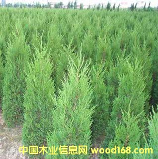 20������