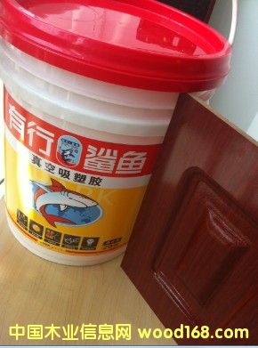 ��������z���S����������z�������ģ���Ч����������z