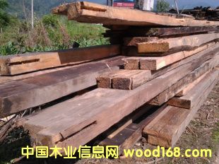 �f��ľ�� �fľ�� �fľ�� �fľ���ϵ�Ԕ����B