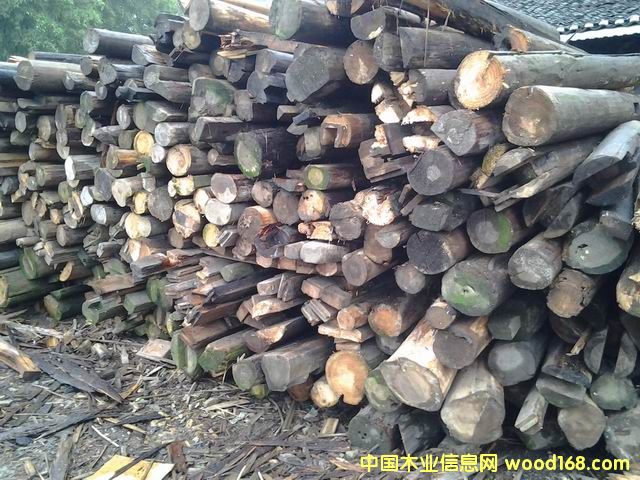 2�������f������������Ԕ����B