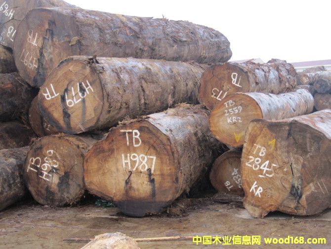 ����TB��Ԕ��(x��)��B