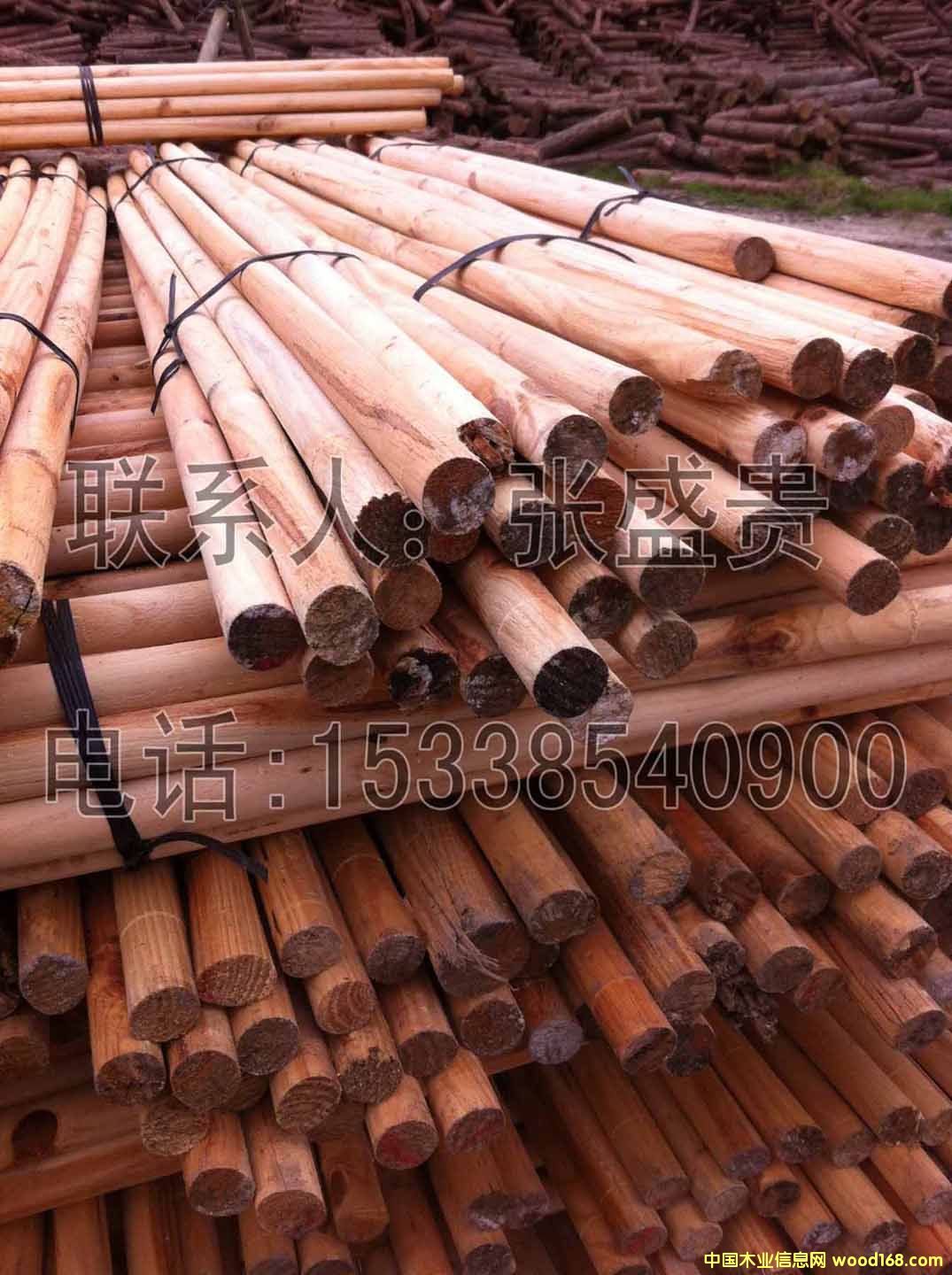 ��ľľо ���ЈA��35MM��Ԕ����B