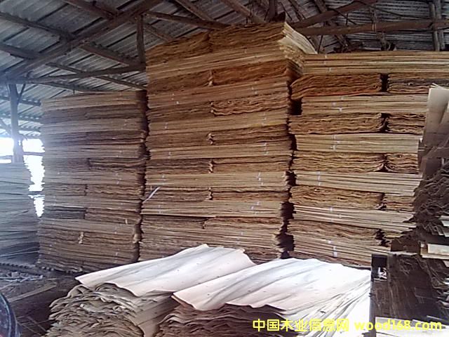 һ�����Ԕ��(x��)��B