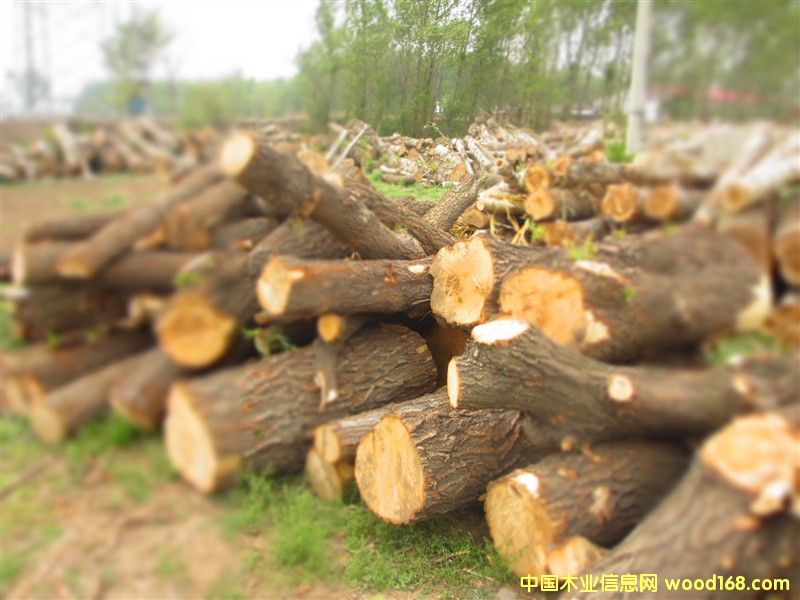 ����(sh��)