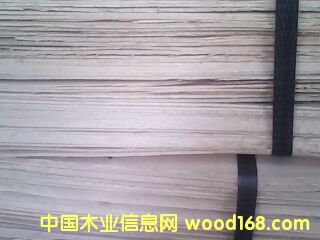 �c���鿴��ľ��Ƥ�Ŵ�DƬ