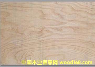 ��ľ����