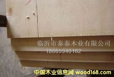 �aƷ���b���z�ϰ�