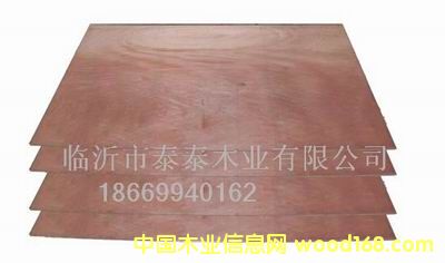 �A���z�ϰ�