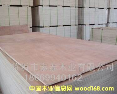 15mm��ľ���b��