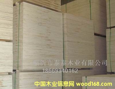 �z�ϰ���b����ģ��