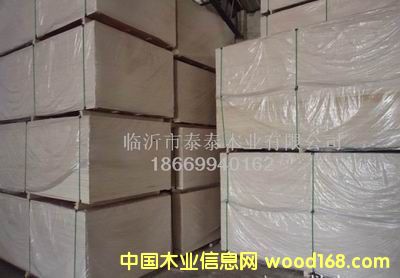 ���N��ȵİ��b���z�ϰ� 