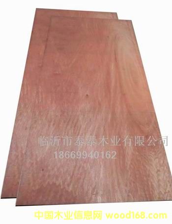 �ߙn���b���z�ϰ�