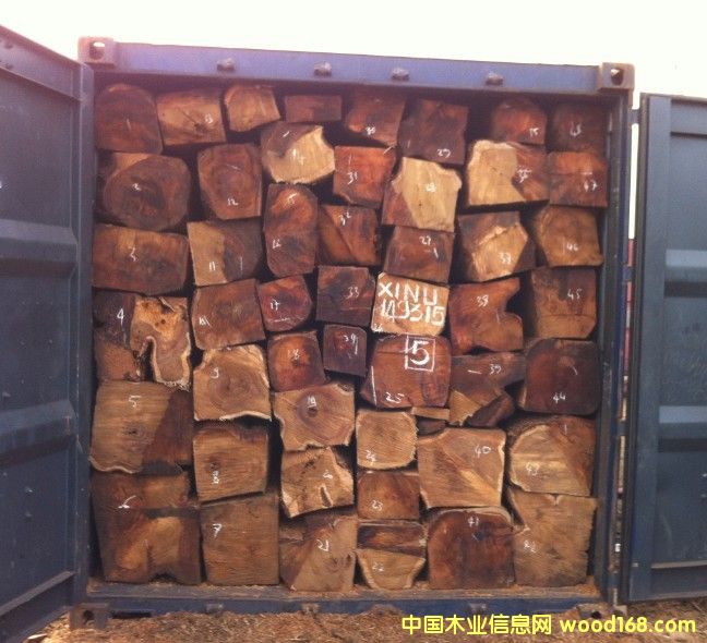 刺猬紫檀的詳細(xì)介紹