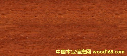 菠蘿格的詳細(xì)介紹