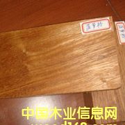 ���޲��}���Ԕ��(x��)��B