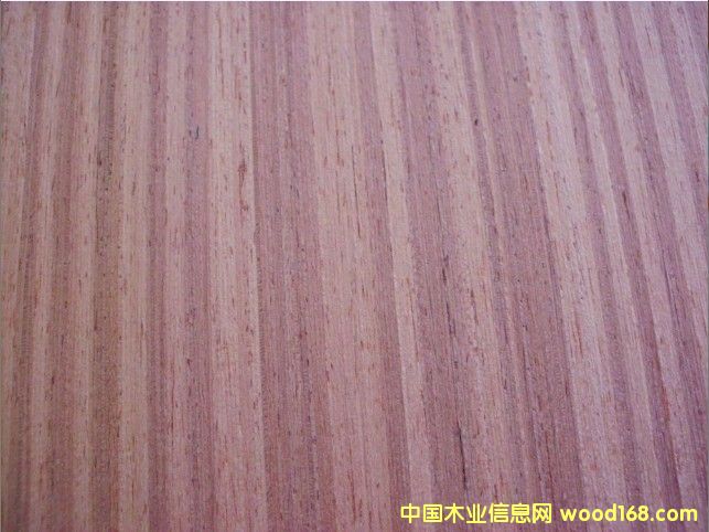 ����(y��ng)EVɳ����ľƤ