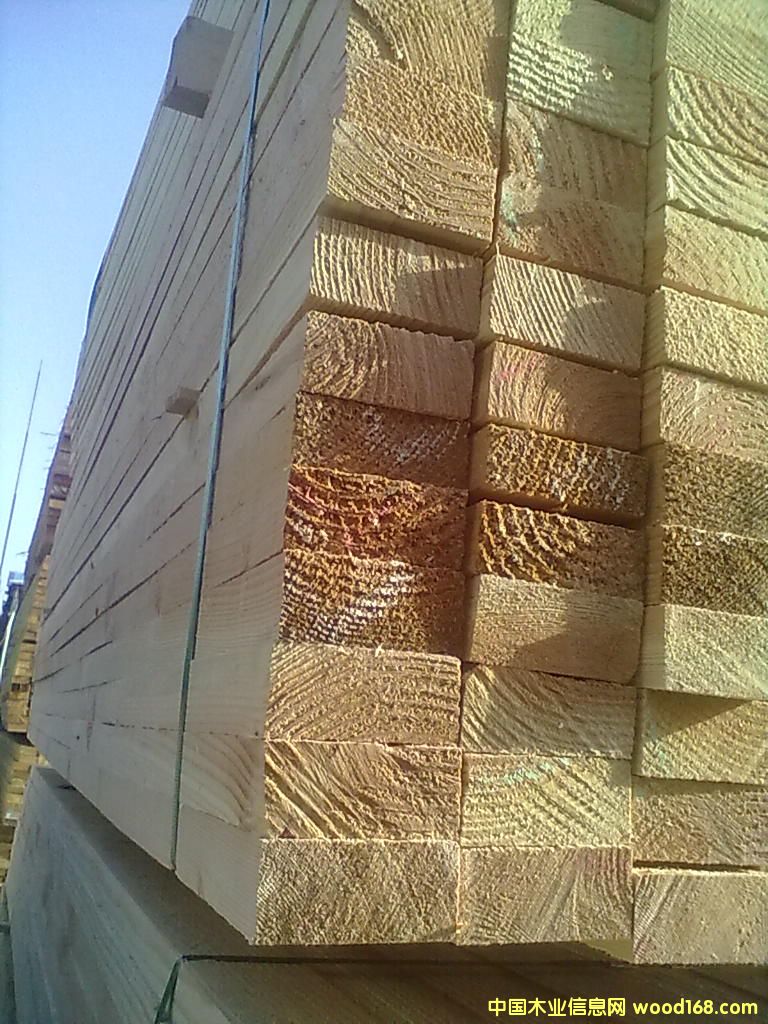 �����ɽ���ľ��