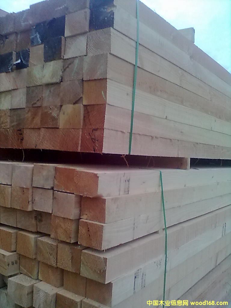 ������ľ��