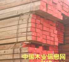 [��] ����(y��ng)�����t�������S����ľ