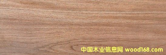 ����(gu��)��ľ��Ԕ��(x��)��B