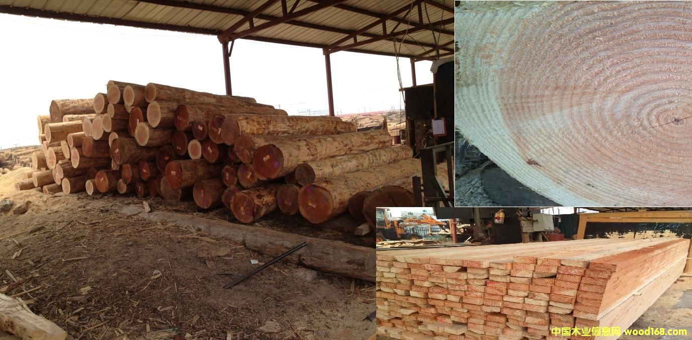 �����ɵ�Ԕ��(x��)��B