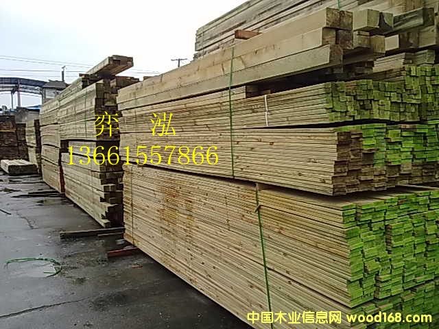 樟子松的詳細(xì)介紹