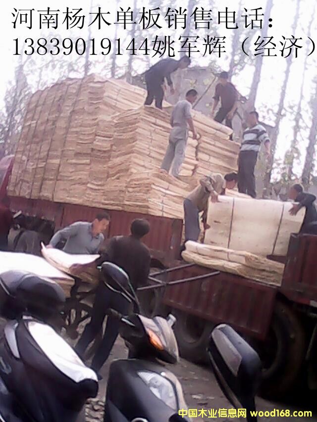 ��ľ�ΰ���۵�Ԕ����B