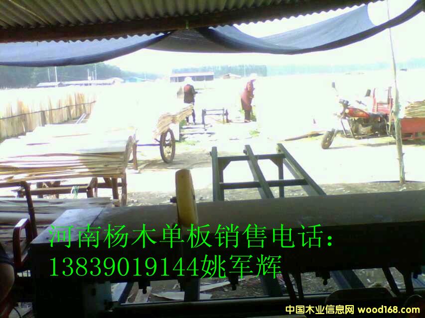 ��ľ�ΰ�۳����۵�Ԕ����B