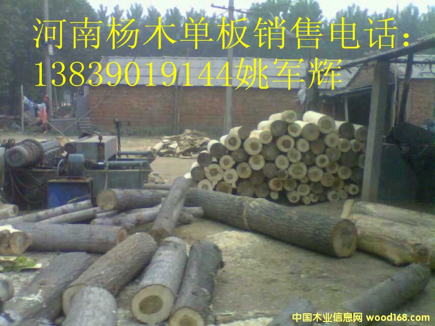 ���ϗ�ľ�ΰ���۵�Ԕ����B