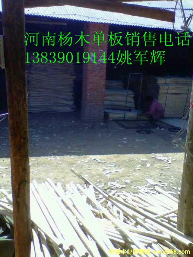 ��ľ�ΰ���۵�Ԕ����B