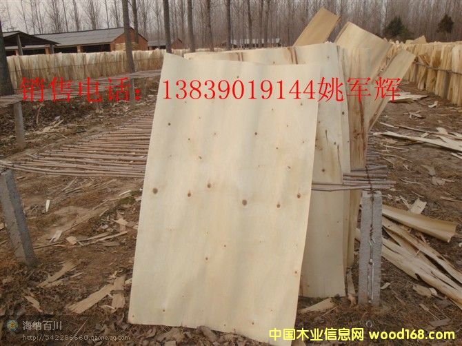 ��ľ�ΰ�۳���N�۵�Ԕ����B