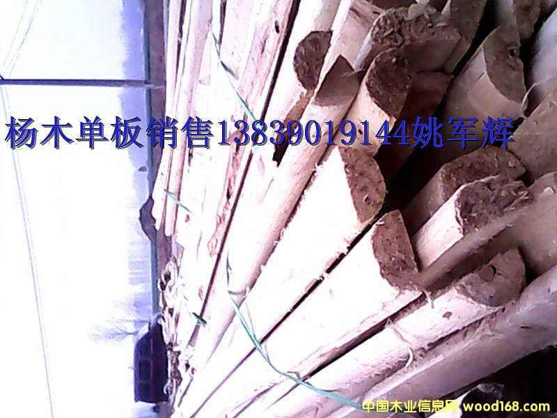 ��ľ�l��Ԕ����B