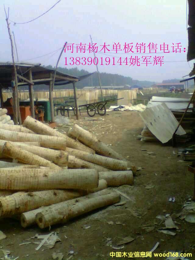 ��ľ�ΰ���ϳ��۵�Ԕ����B