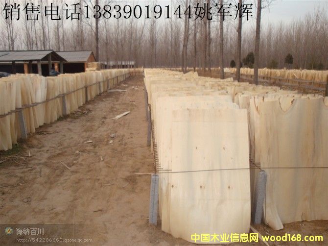 ��ľ�ΰ�۳��h��Ԕ����B