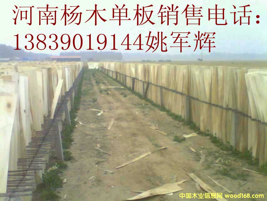 ۳���ľ�ΰ��Ԕ����B