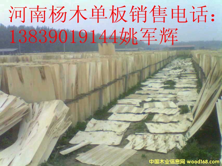 ���ϗ�ľ�ΰ�1��Ԕ����B