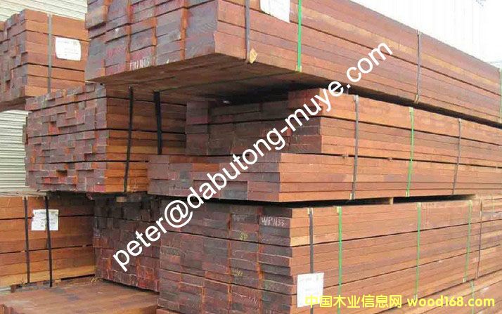 ɽ��ľ��Ԕ��(x��)��B