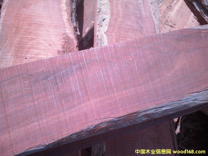 ����С�~�t̴��Ԕ����B