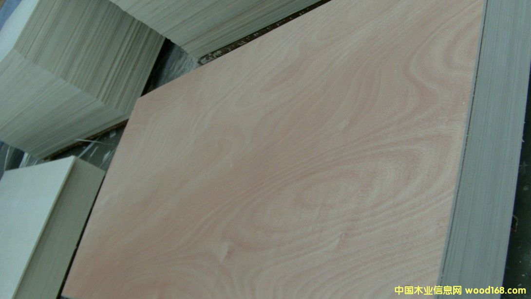 ��ľо�Ҿ߰�5~18���Ԕ��(x��)��B