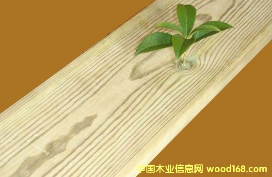 �Ͼ�����ľ��(b��o)�r(ji��)