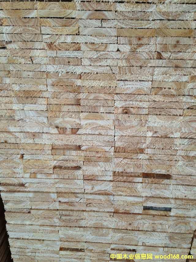 ȫ��ɼľһ���C(j��)ƴ���Ԕ��(x��)��B