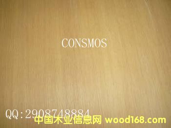 �����b��N���