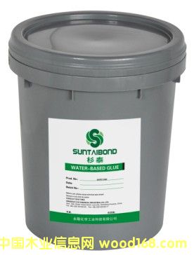 ������ƴ���z SAP21300