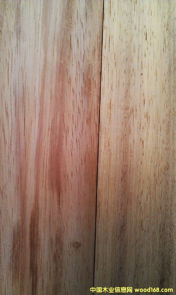 �c���鿴��ľ�Ŵ�DƬ