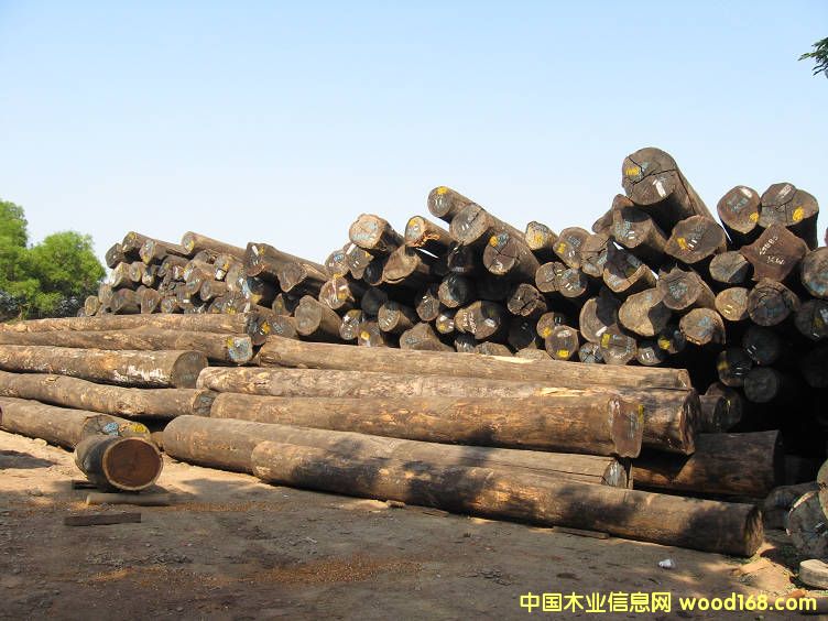 ���²��}��ԭľ��Ԕ��(x��)��B