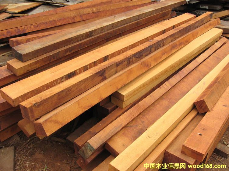 ���}����ݷ��ֵ�Ԕ��(x��)��B